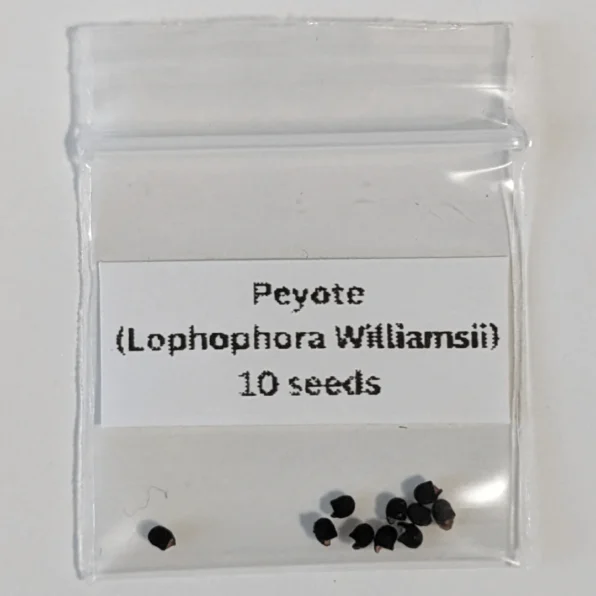 peyote cactus seeds